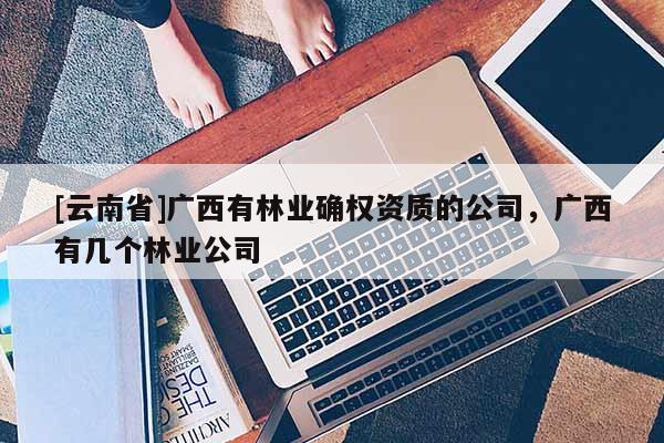 [云南省]广西有林业确权资质的公司，广西有几个林业公司