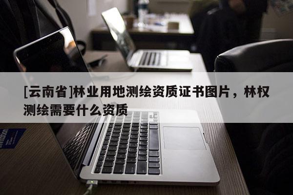 [云南省]林业用地测绘资质证书图片，林权测绘需要什么资质