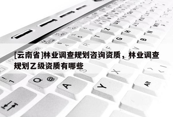 [云南省]林业调查规划咨询资质，林业调查规划乙级资质有哪些