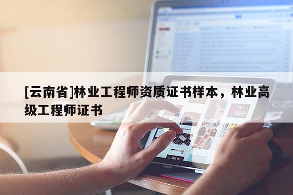 [云南省]林业工程师资质证书样本，林业高级工程师证书