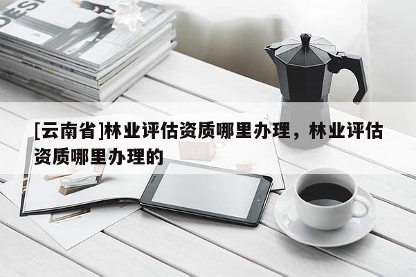 [云南省]林业评估资质哪里办理，林业评估资质哪里办理的