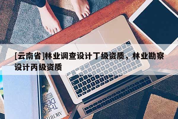 [云南省]林业调查设计丁级资质，林业勘察设计丙级资质