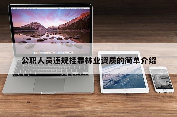 公职人员违规挂靠林业资质的简单介绍