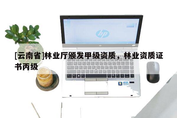 [云南省]林业厅颁发甲级资质，林业资质证书丙级