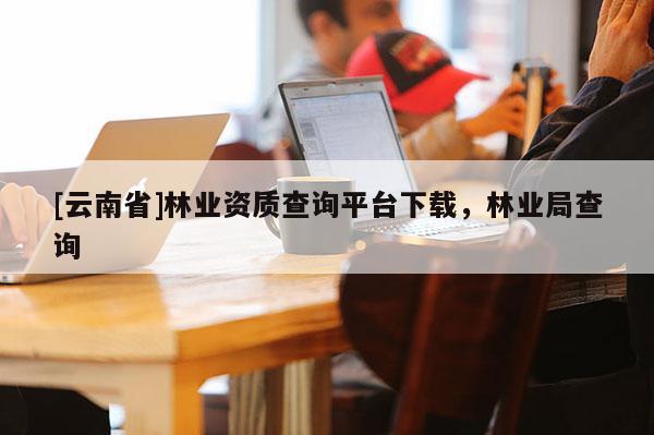 [云南省]林业资质查询平台下载，林业局查询