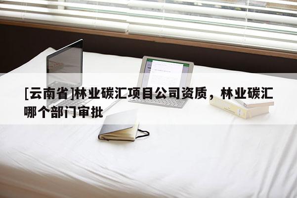 [云南省]林业碳汇项目公司资质，林业碳汇哪个部门审批