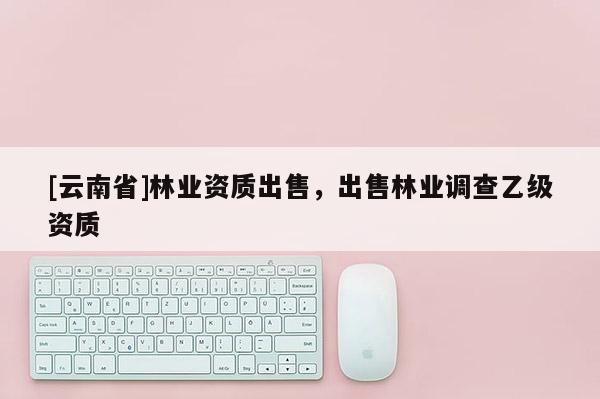 [云南省]林业资质出售，出售林业调查乙级资质