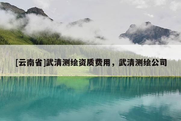 [云南省]武清测绘资质费用，武清测绘公司