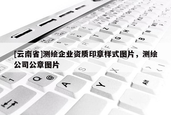 [云南省]测绘企业资质印章样式图片，测绘公司公章图片