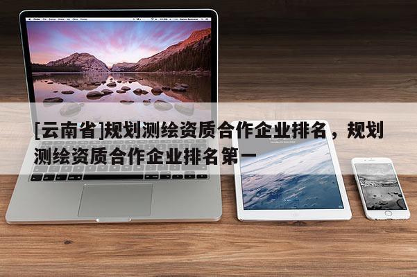 [云南省]规划测绘资质合作企业排名，规划测绘资质合作企业排名第一
