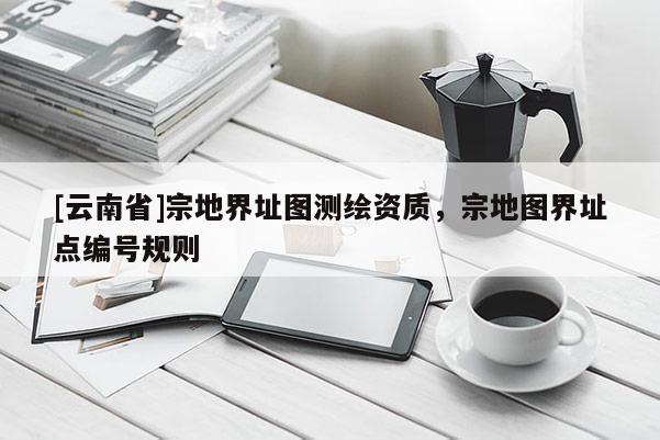 [云南省]宗地界址图测绘资质，宗地图界址点编号规则