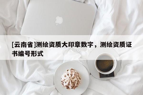 [云南省]测绘资质大印章数字，测绘资质证书编号形式