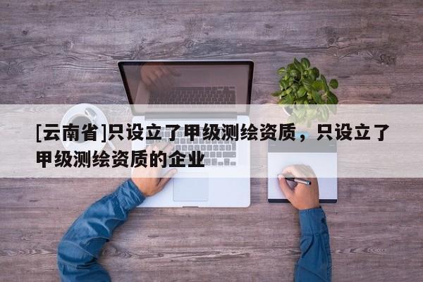 [云南省]只设立了甲级测绘资质，只设立了甲级测绘资质的企业