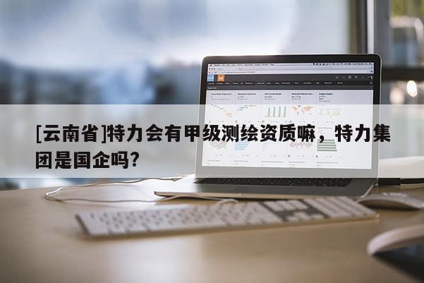 [云南省]特力会有甲级测绘资质嘛，特力集团是国企吗?