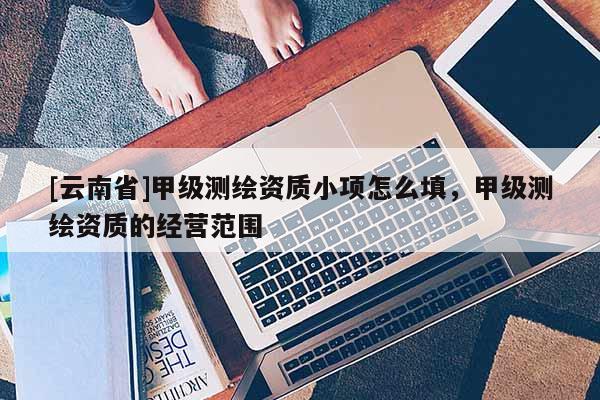 [云南省]甲级测绘资质小项怎么填，甲级测绘资质的经营范围