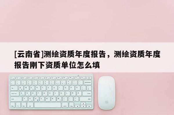 [云南省]测绘资质年度报告，测绘资质年度报告刚下资质单位怎么填