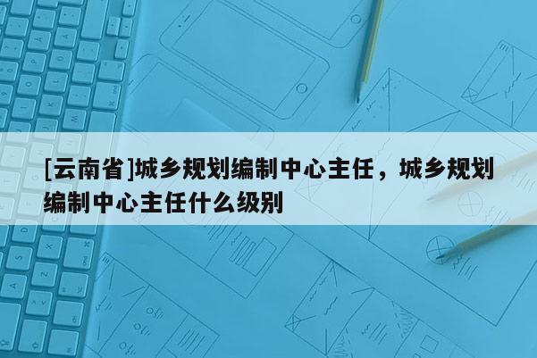 [云南省]城乡规划编制中心主任，城乡规划编制中心主任什么级别