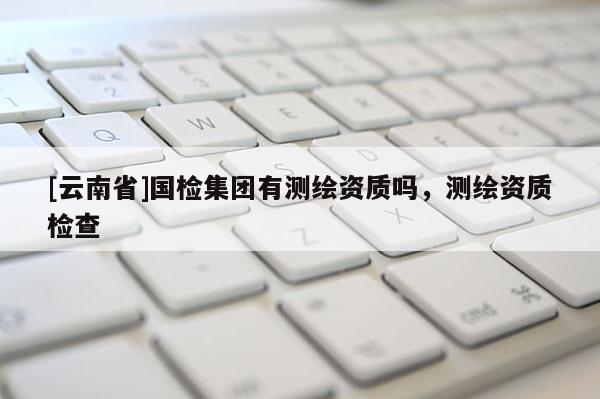[云南省]国检集团有测绘资质吗，测绘资质检查