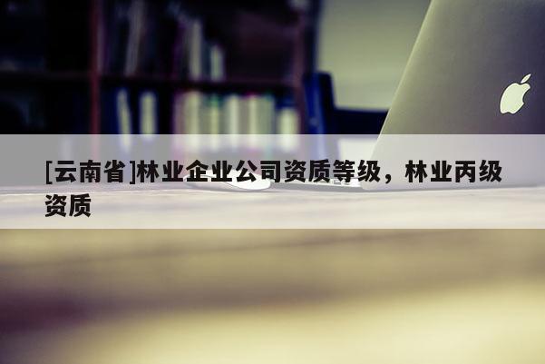 [云南省]林业企业公司资质等级，林业丙级资质