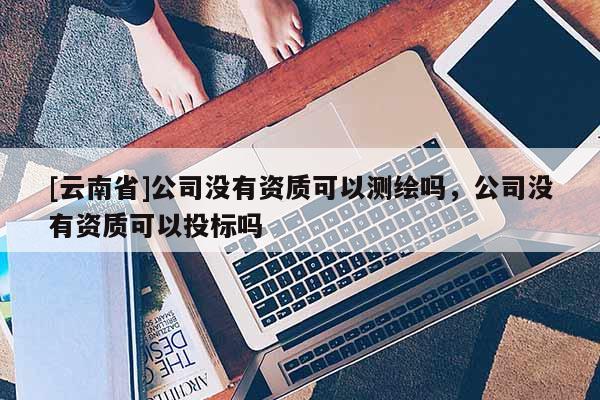 [云南省]公司没有资质可以测绘吗，公司没有资质可以投标吗