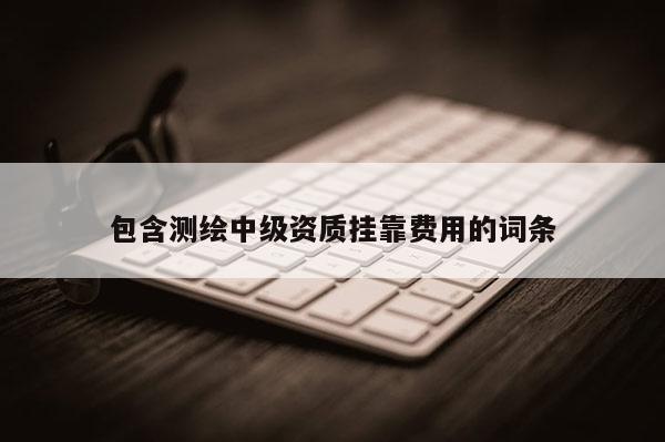 包含测绘中级资质挂靠费用的词条