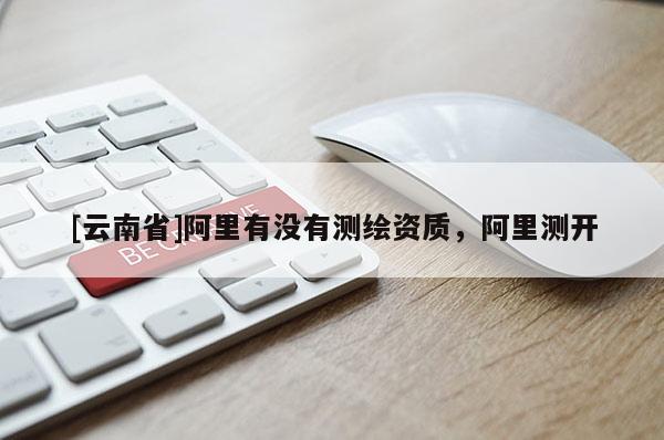 [云南省]阿里有没有测绘资质，阿里测开